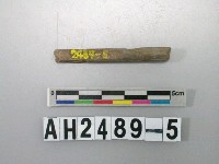 藏品(磨製石針)的圖片